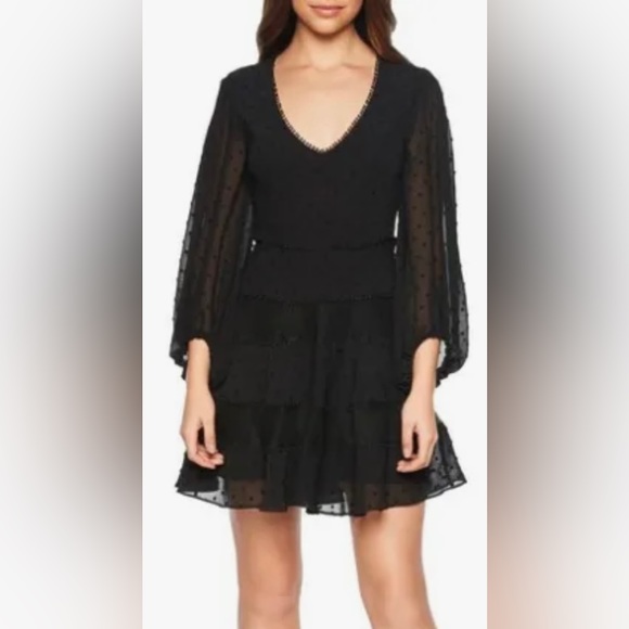 Bardot Mae Mesh Lace & Swiss Dot Long Sleeve Fit & Flare Mini Dress - Picture 4 of 8